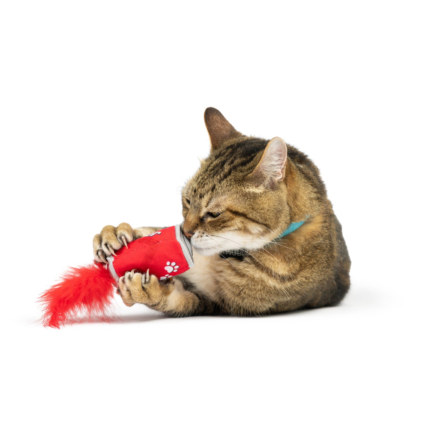 Lil' Pooper for Cats