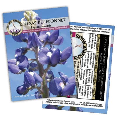 Texas Bluebonnet Seeds