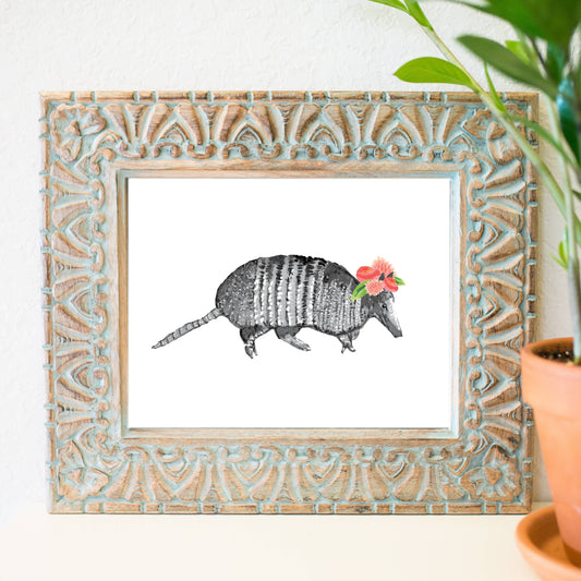 8'' x 10'' Armadillo Print