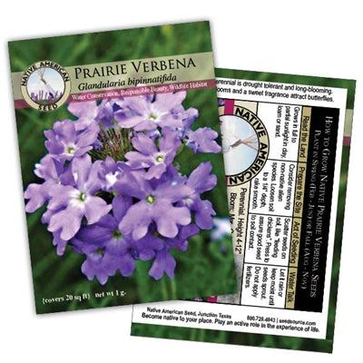 verbena flower seeds Prairie Verbena Seeds – The San Market