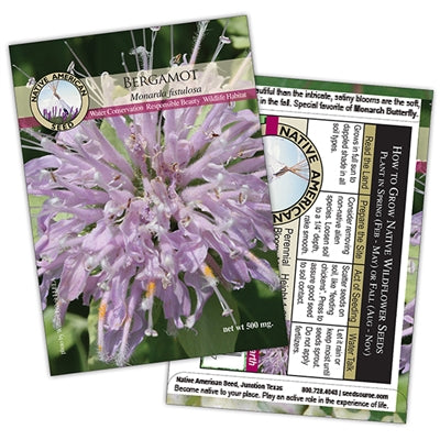 bergamot plant seeds Bergamot Seeds