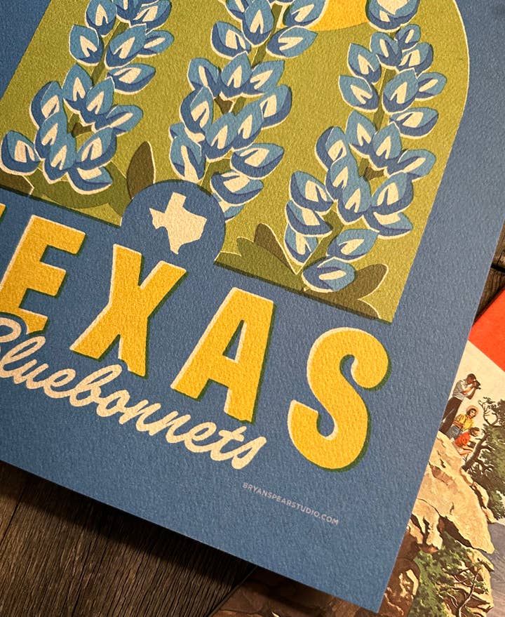 Texas Bluebonnets Print
