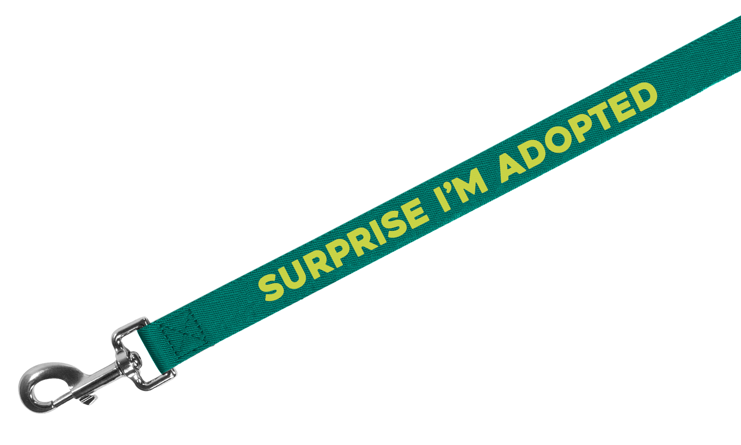 Surprise Adopted - Dog Leash