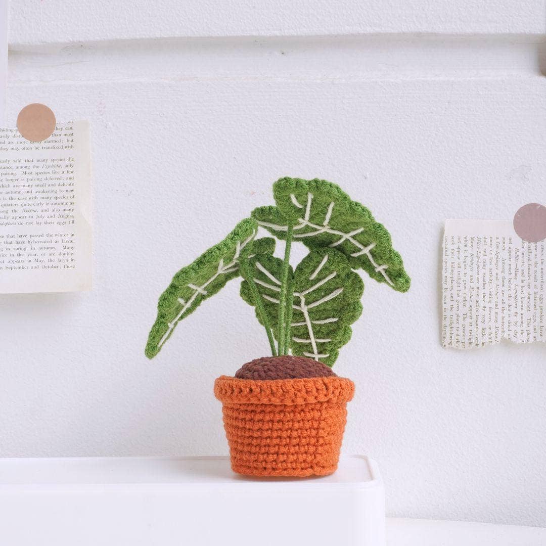 Alocasia Frydek Pot Crochet, Handmade Amigurumi Plant