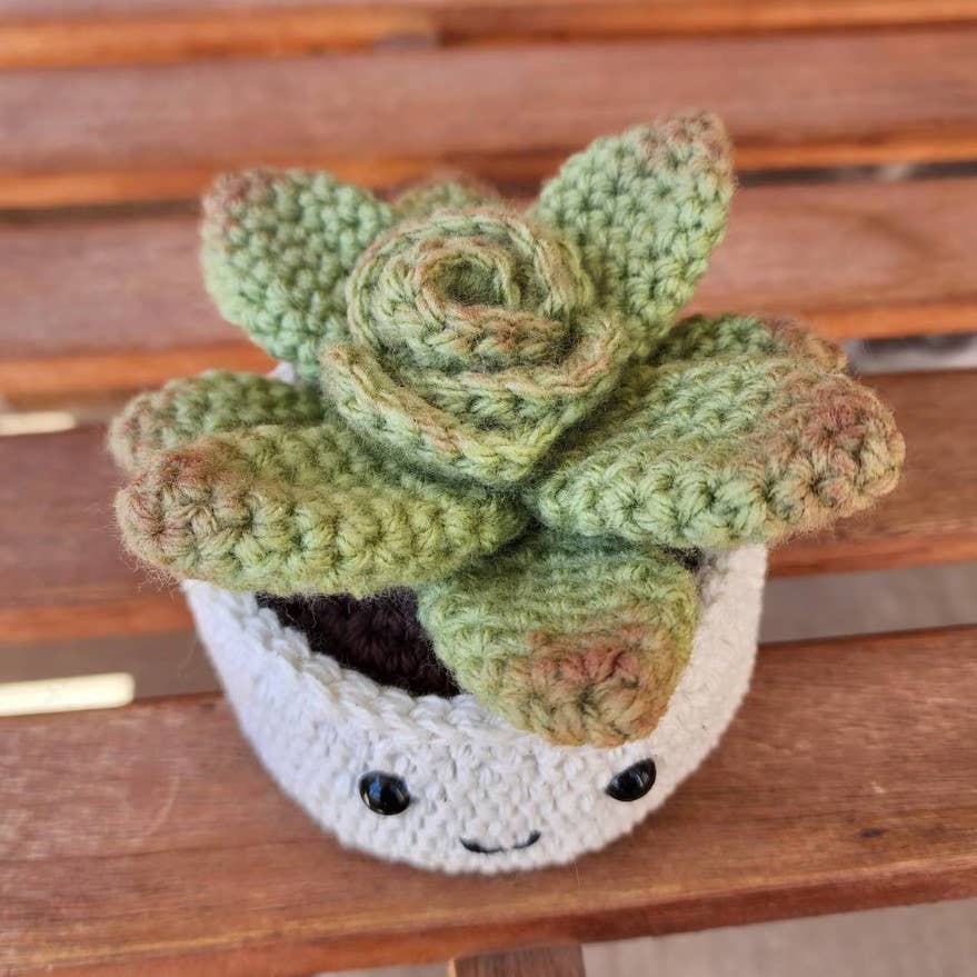 Crochet Succulent Plant, Houseplant Decor, Plant Lover Gift
