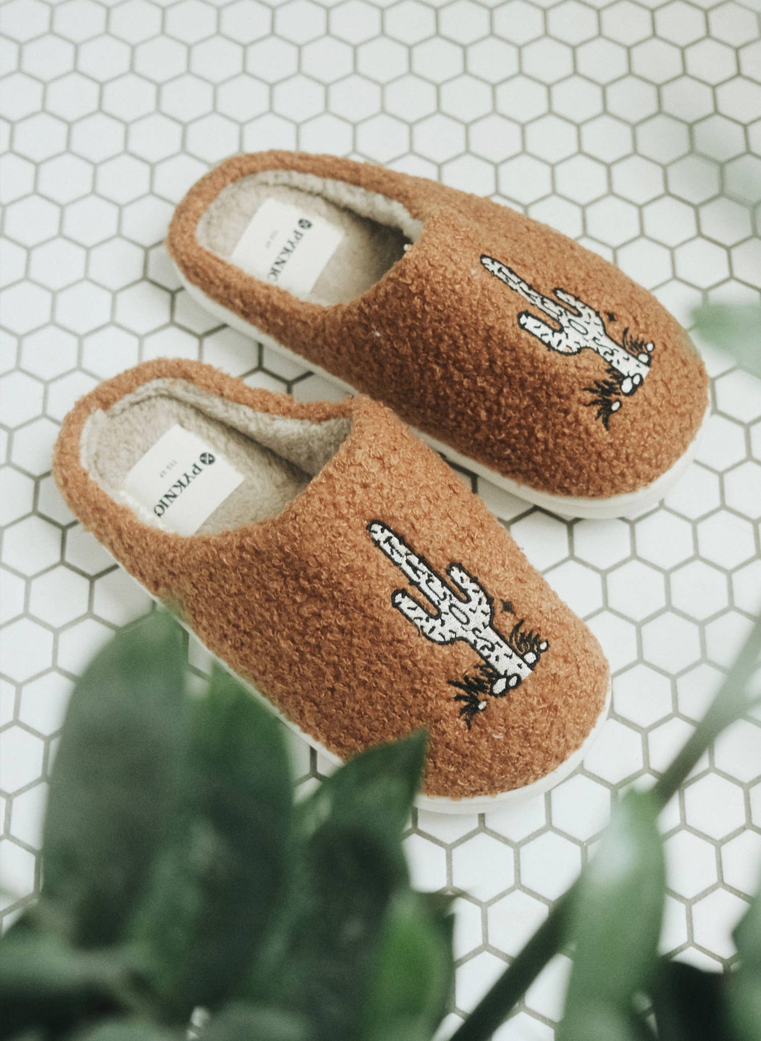 Cactus slippers online