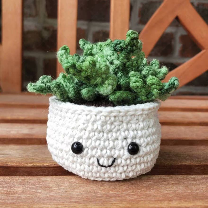 Crochet Succulent Plant, Houseplant Decor, Plant Lover Gift