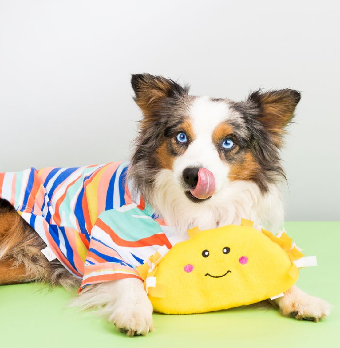 NomNomz® - Taco - Dog Toy