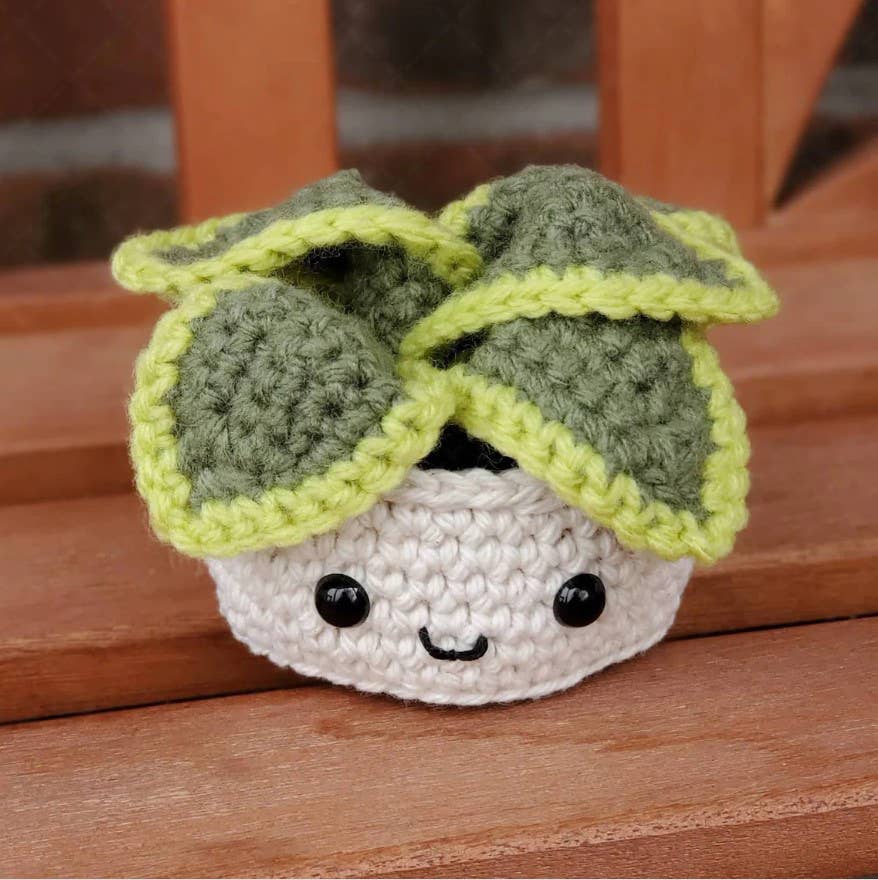 Crochet Succulent Plant, Houseplant Decor, Plant Lover Gift