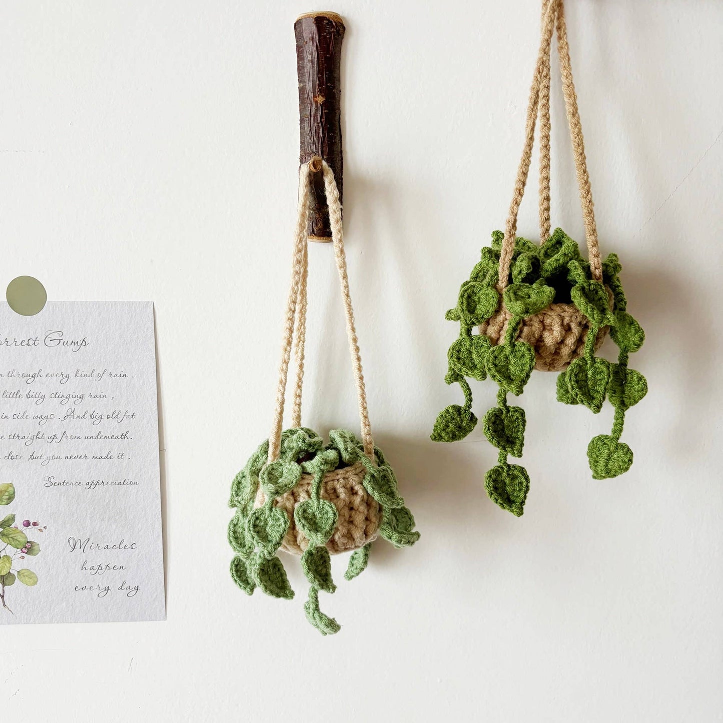 Crochet Flower Plant Fruit, Wall Hanging Home Decor