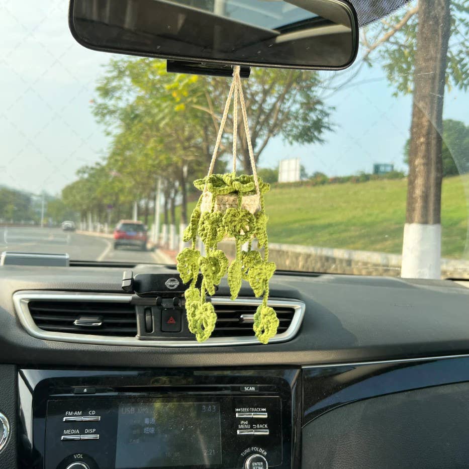 Crochet Monstera Plant, Car Plant Hanging, Plant Lover Decor