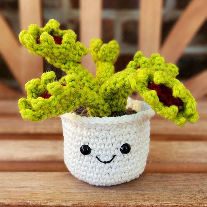 Crochet Succulent Plant, Houseplant Decor, Plant Lover Gift