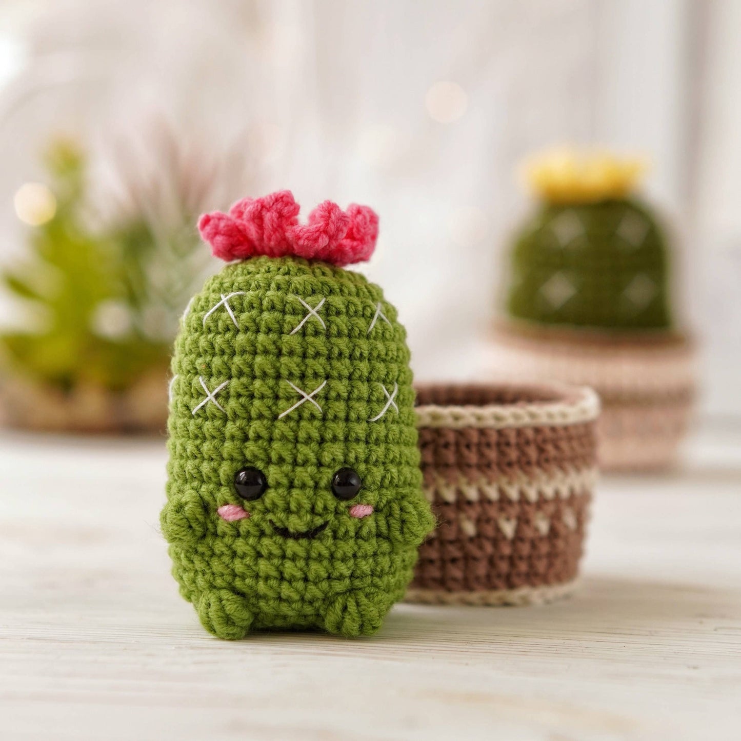 Crochet Cheeky Cactus, Amigurumi Cactus, Handmade Plant