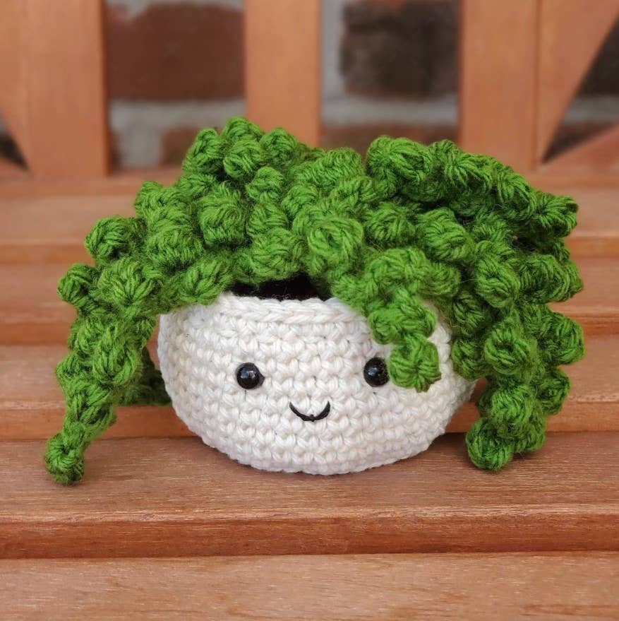 Crochet Succulent Plant, Houseplant Decor, Plant Lover Gift