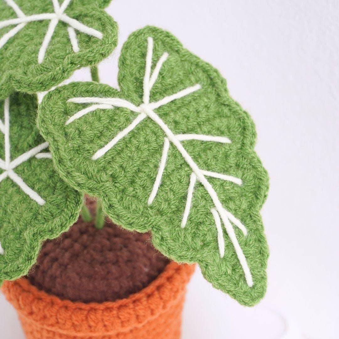 Alocasia Frydek Pot Crochet, Handmade Amigurumi Plant
