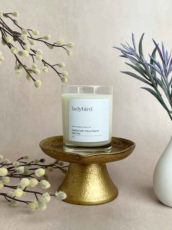 Ladybird Soy Candle
