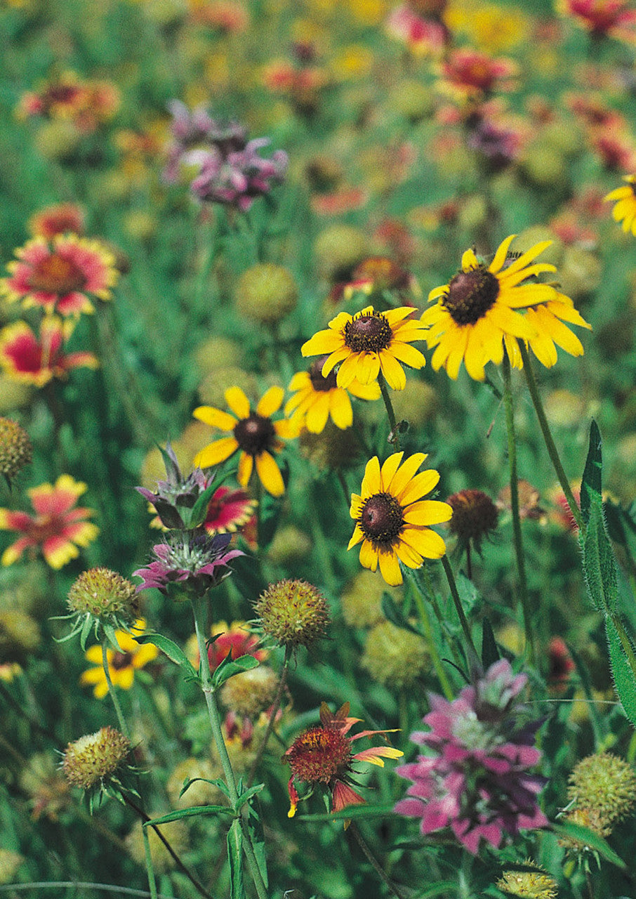 Native Texas Mix 2.1 oz bag