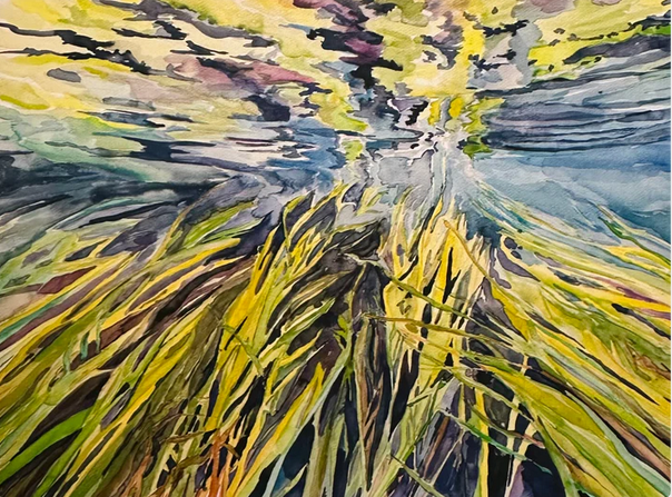 Wild Rice print - Fine Art print by Michi's World of Chaos