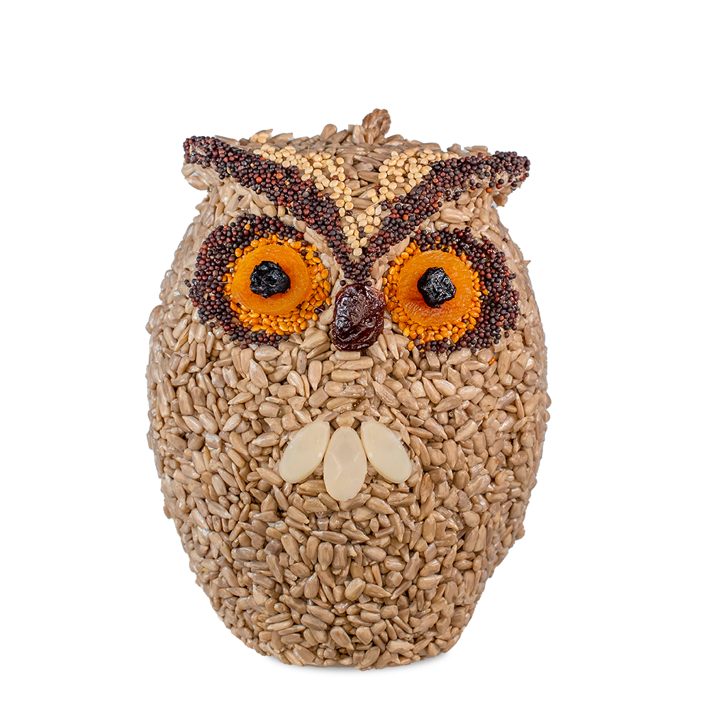 Whoo-lio Owl