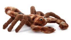 12" (30cm) Wild Onez Scorpion