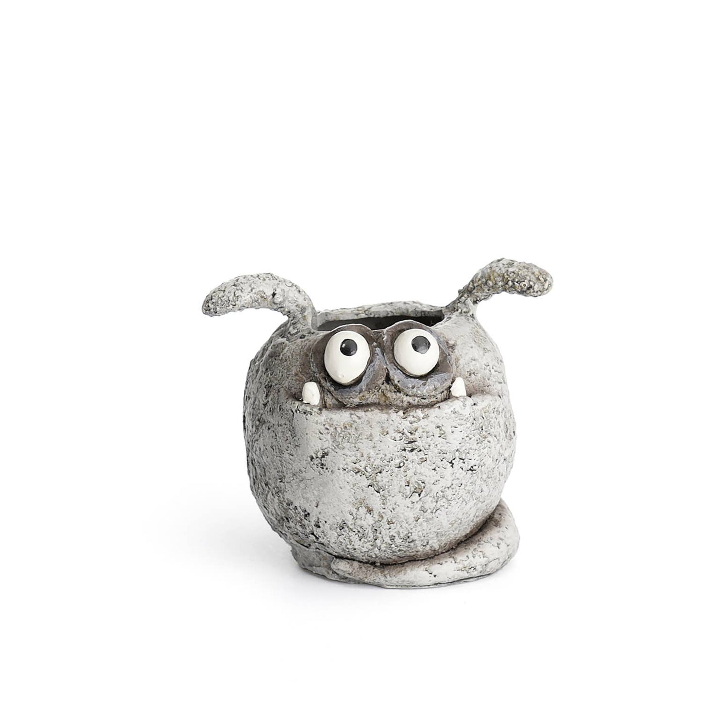 SPUD Mini Planter with succuelent