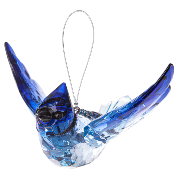 Blue Jay with charm