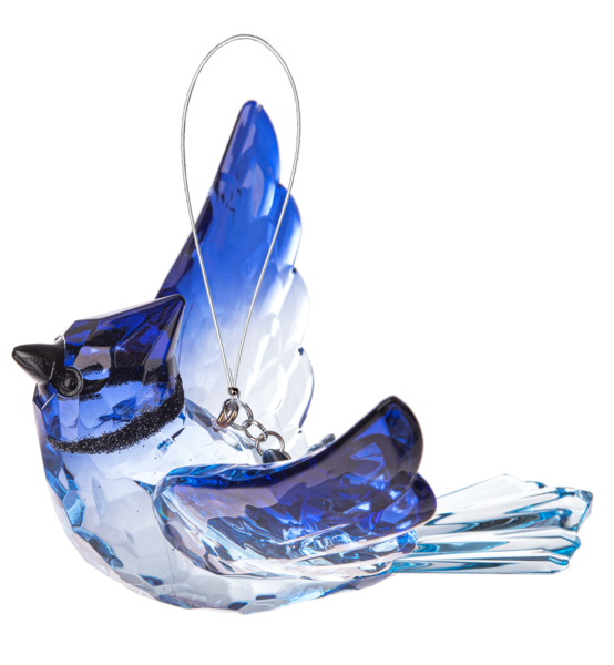 Blue Jay with charm