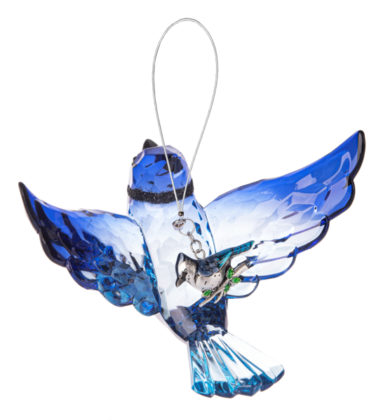 Blue Jay with charm