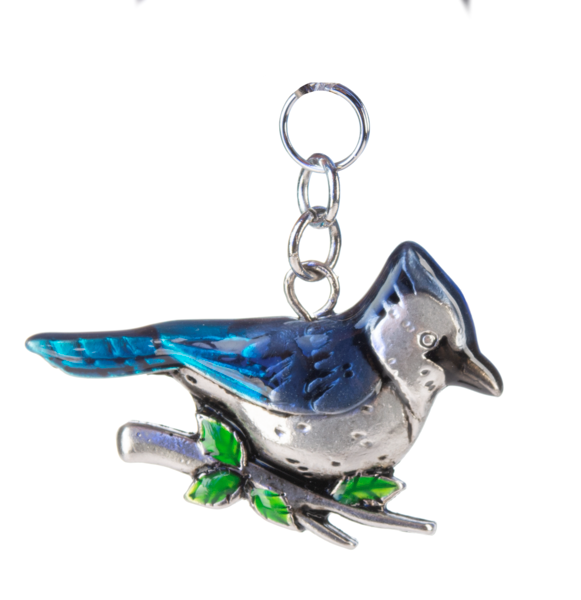 Blue Jay with charm