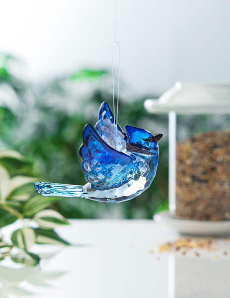 Blue Jay with charm