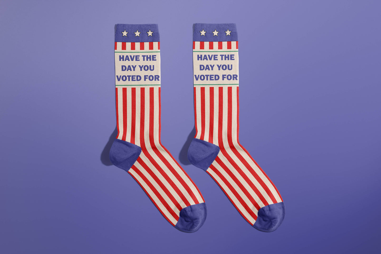 Have The Day You Voted For Socks (funny socks