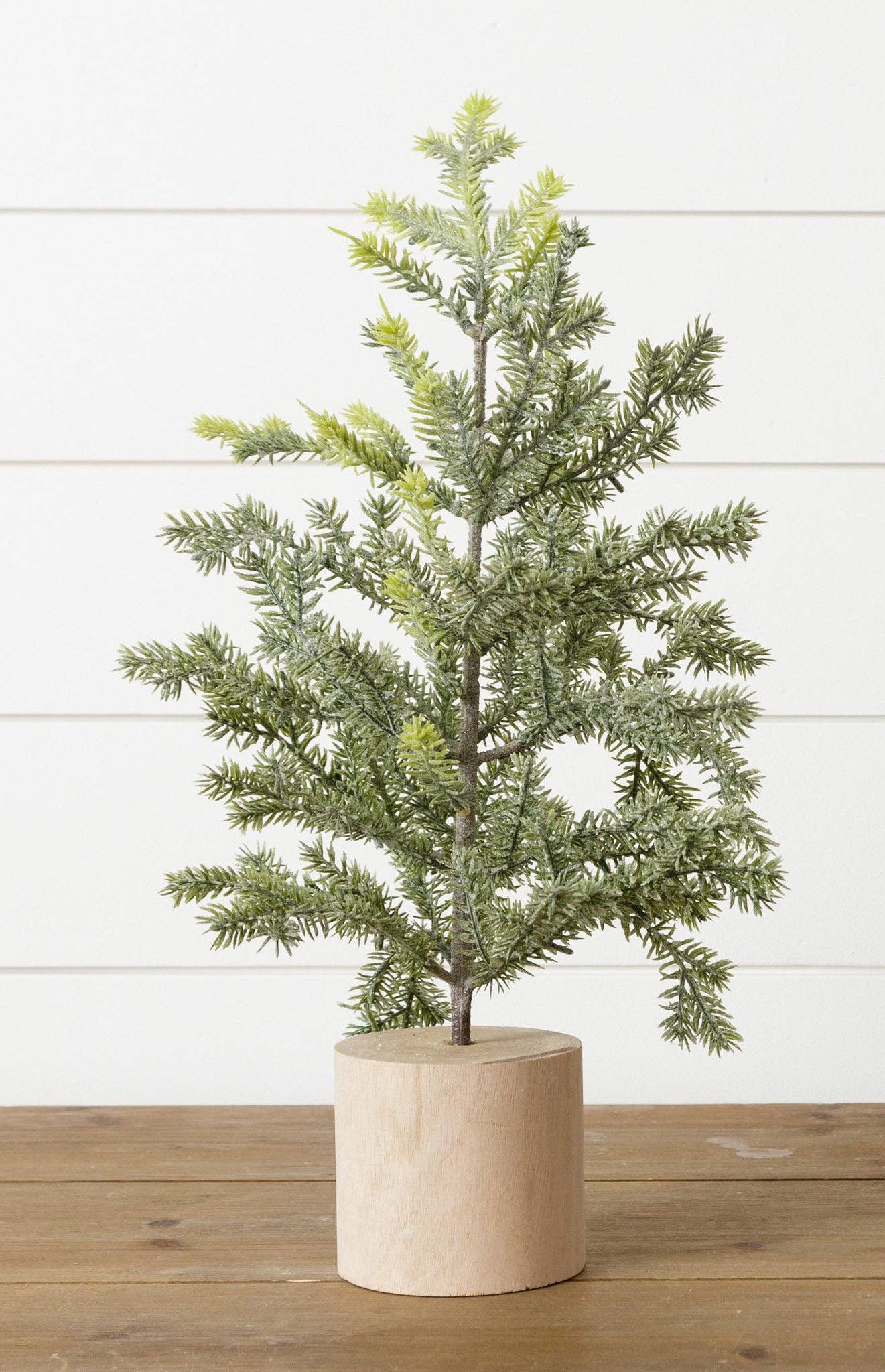 Frosted Pine In Wooden Base, 18 Inches