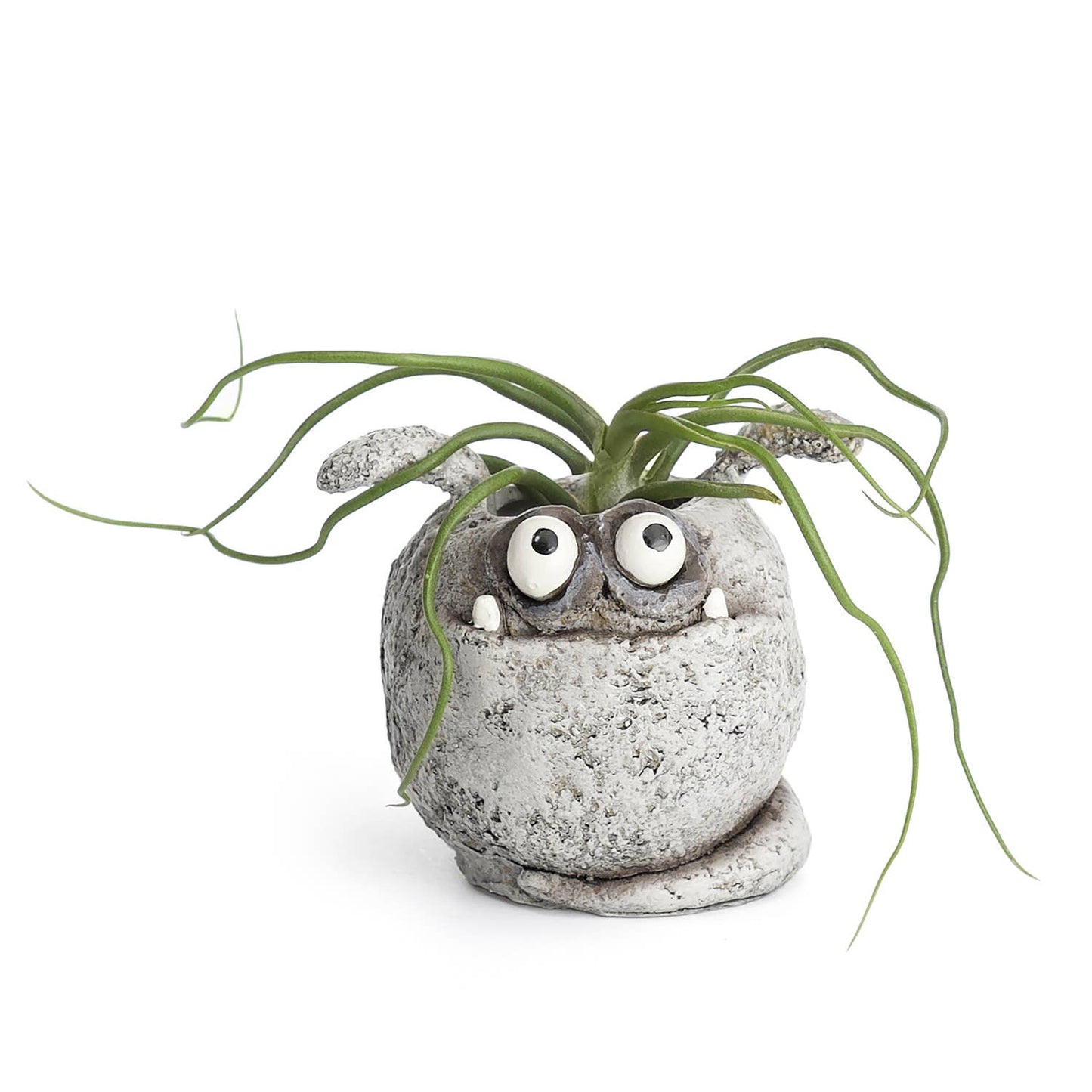 SPUD Mini Planter with succuelent