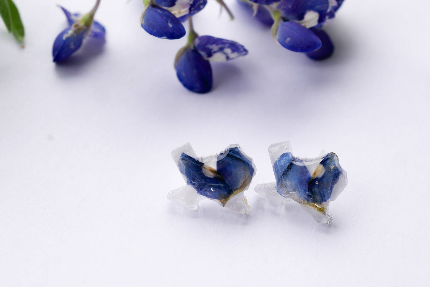 Texas shaped pressed bluebonnet stud earrings