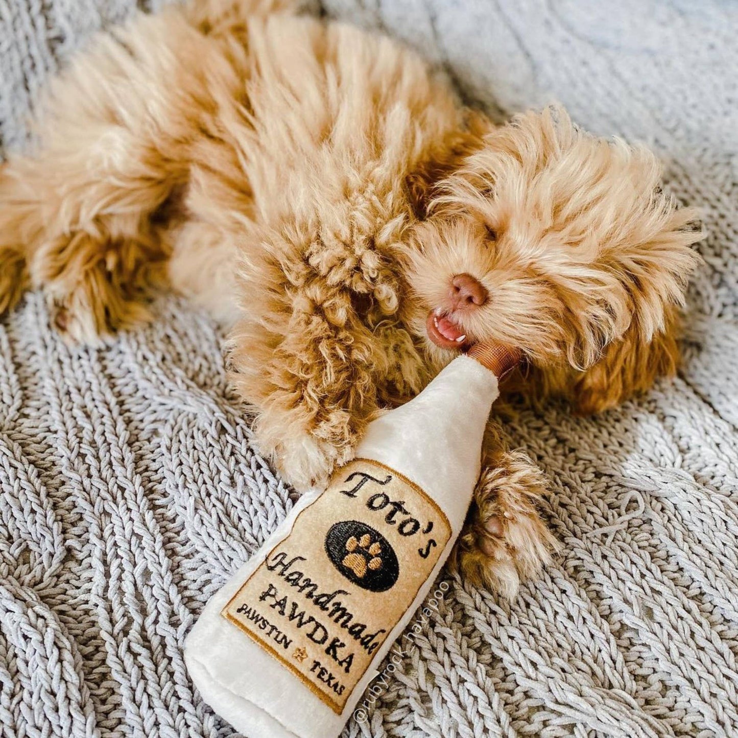 Toto's Pawdka For Dogs