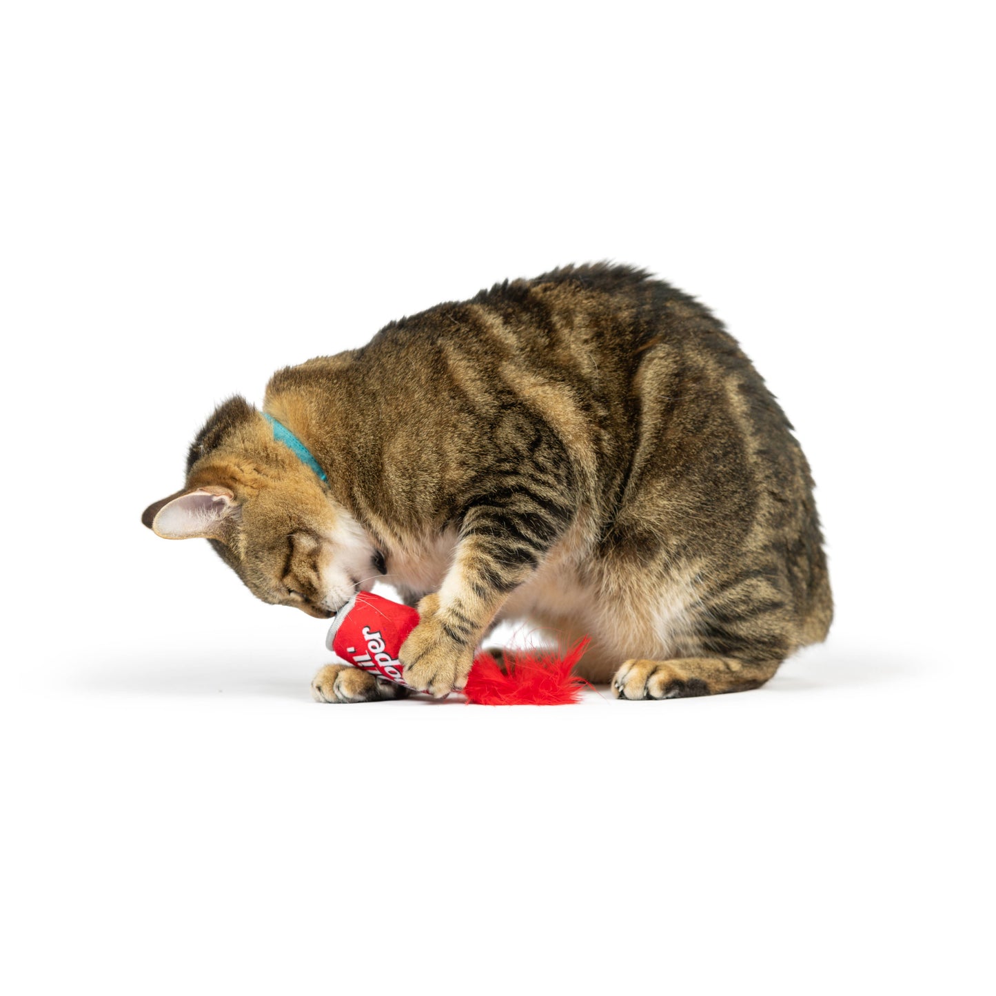 Lil' Pooper for Cats