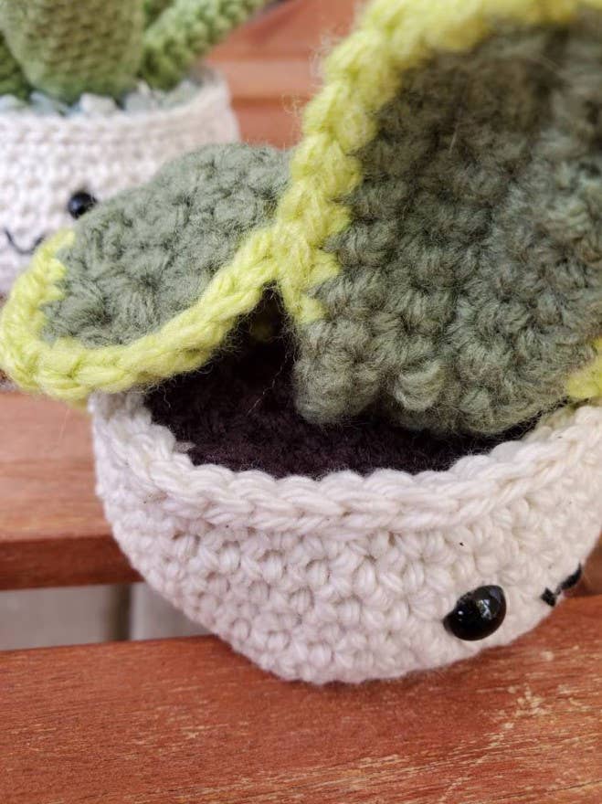 Crochet Succulent Plant, Houseplant Decor, Plant Lover Gift