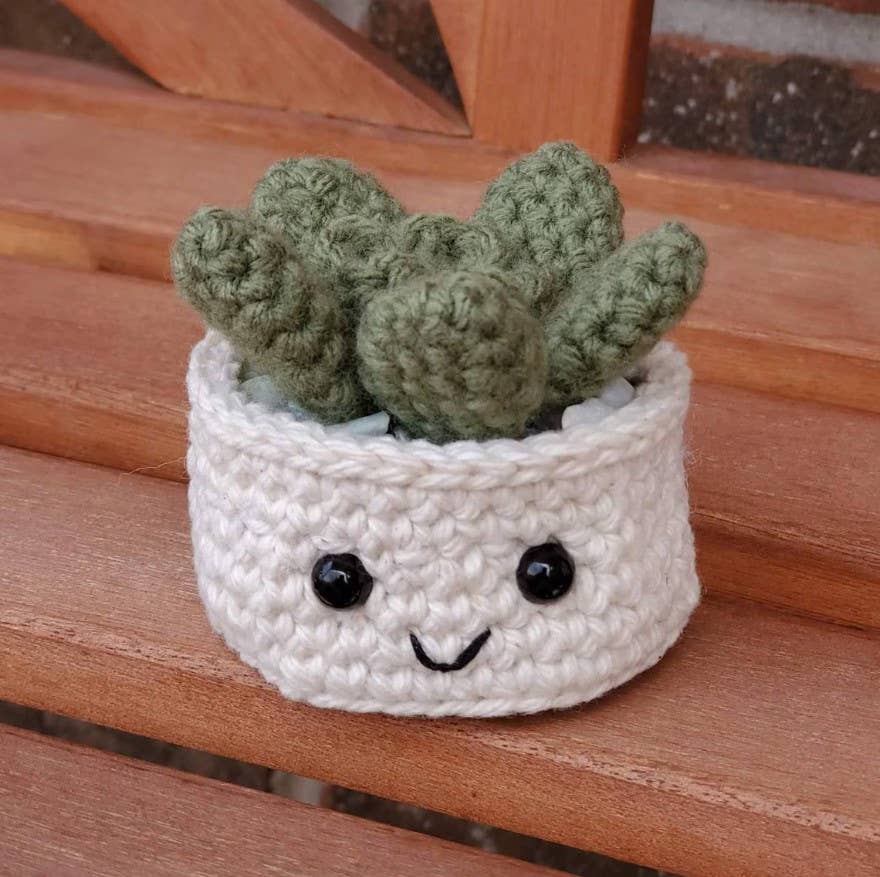 Crochet Succulent Plant, Houseplant Decor, Plant Lover Gift