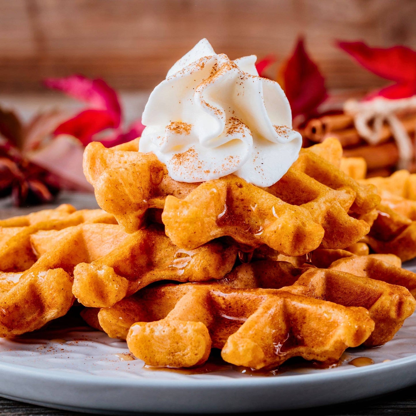 Pumpkin Spiced Pancake & Waffle Mix, Organic 22 oz. Bag