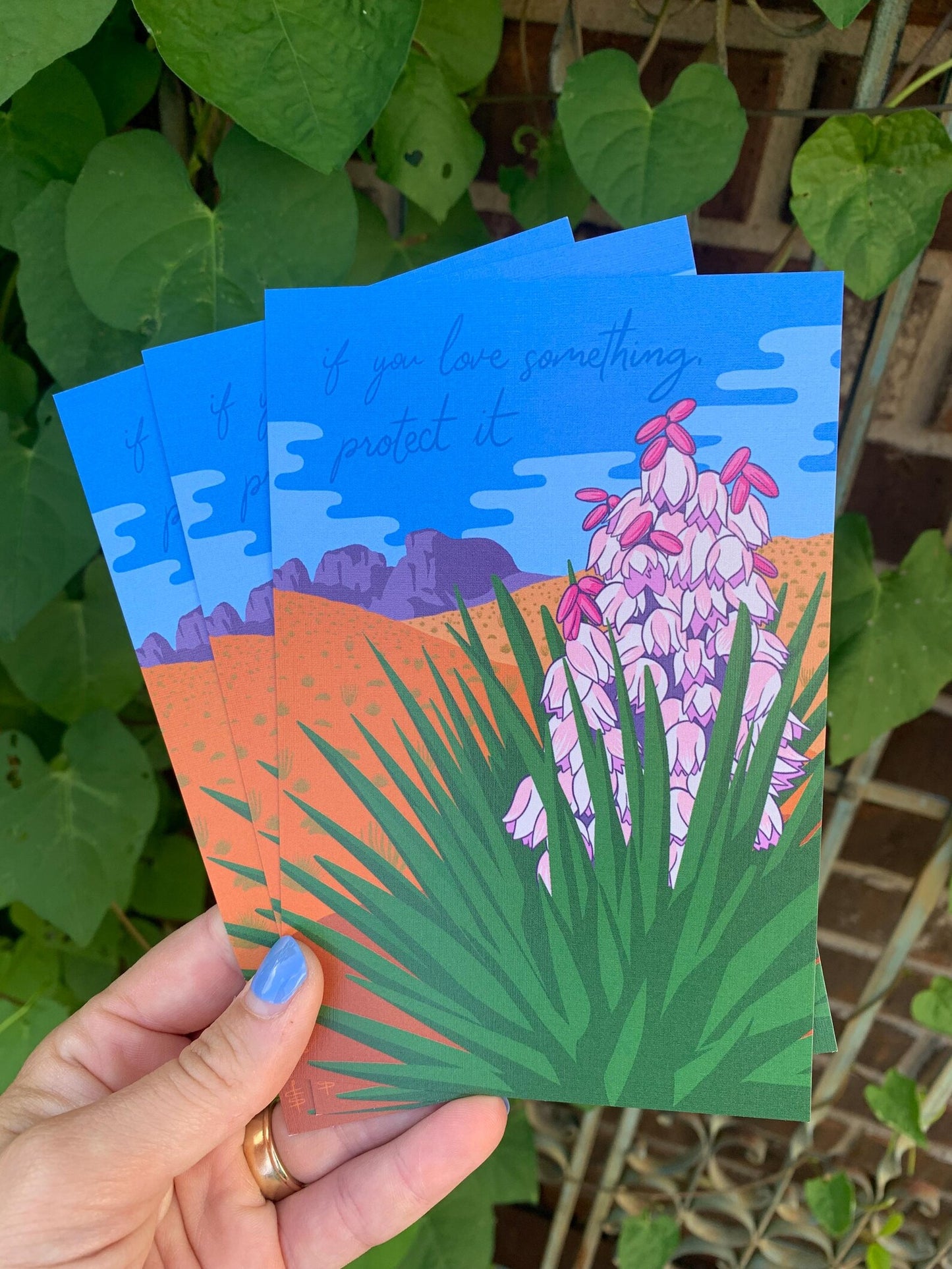 Blooming Yucca Postcard
