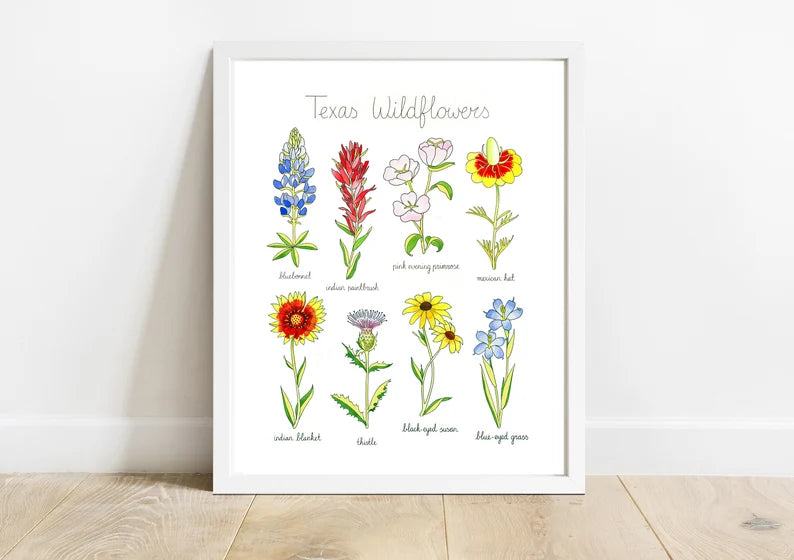Texas Wildflowers Print