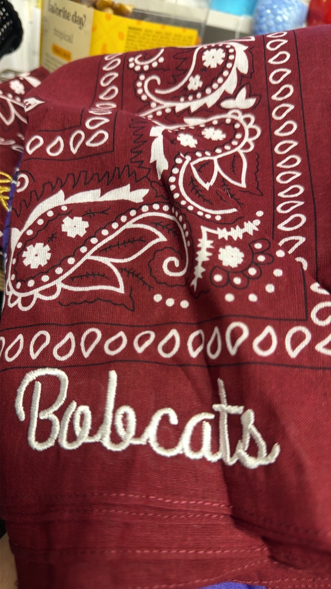 Embroidered Bandana