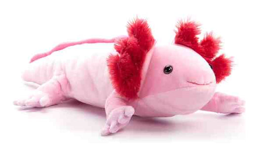 15" (39cm) Wild Onez Axolotl SM