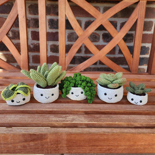 Crochet Succulent Plant, Houseplant Decor, Plant Lover Gift