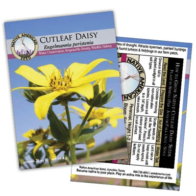 Cutleaf Daisy Seeds