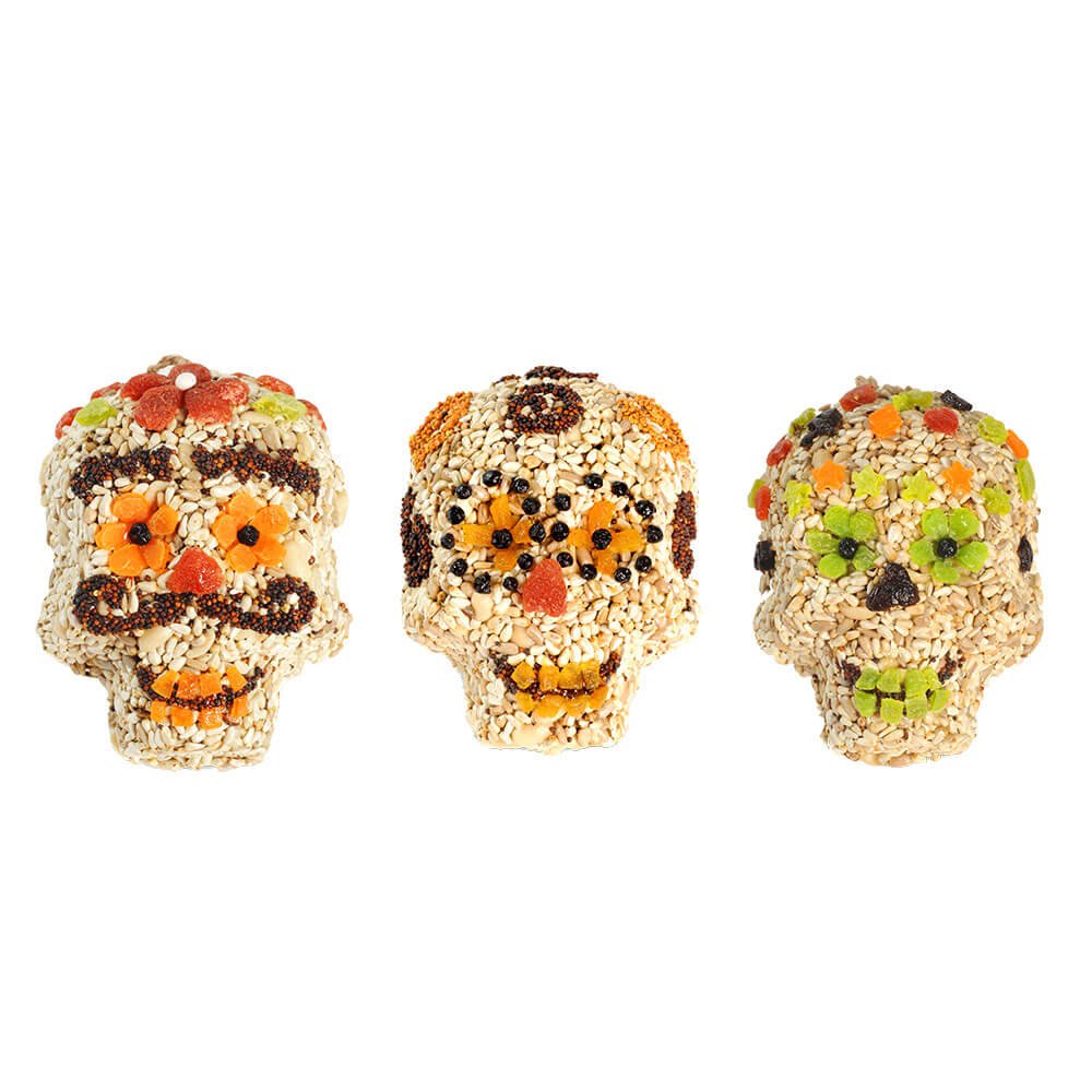 Seed Sugar Skulls