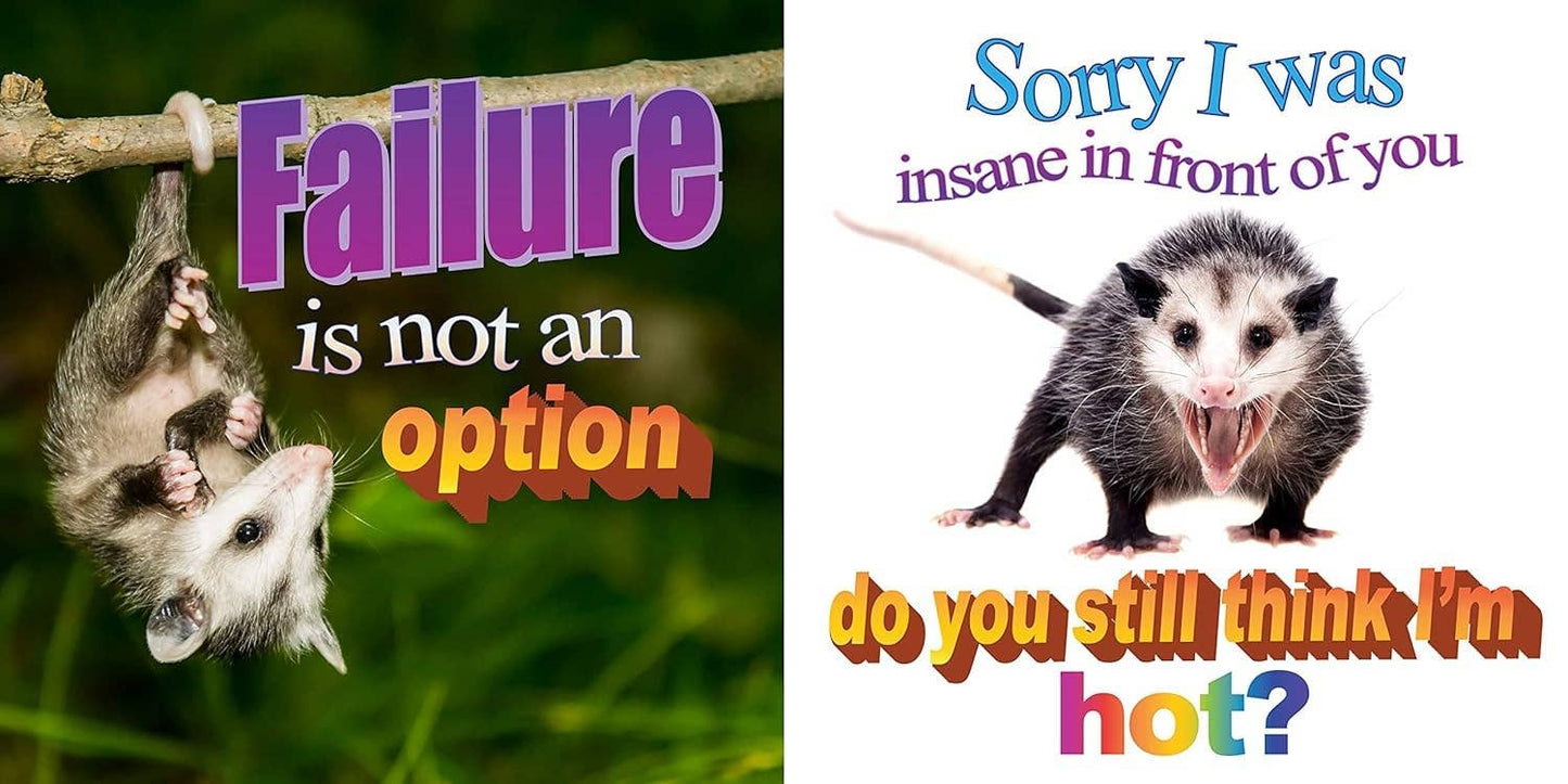 No Thoughts Just Possums Meme Photo Book by Sylvie