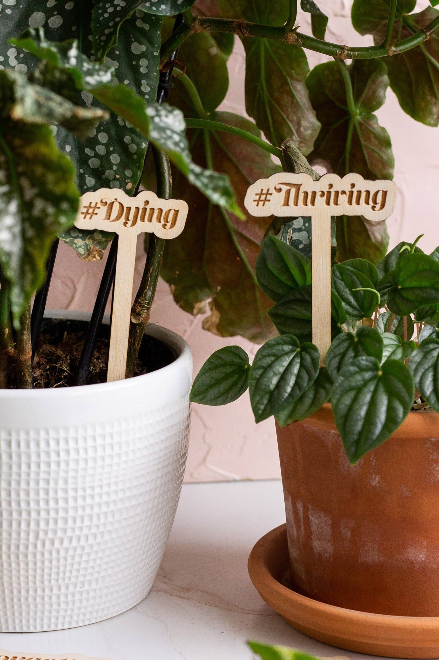 Funny Wooden Plant Markers