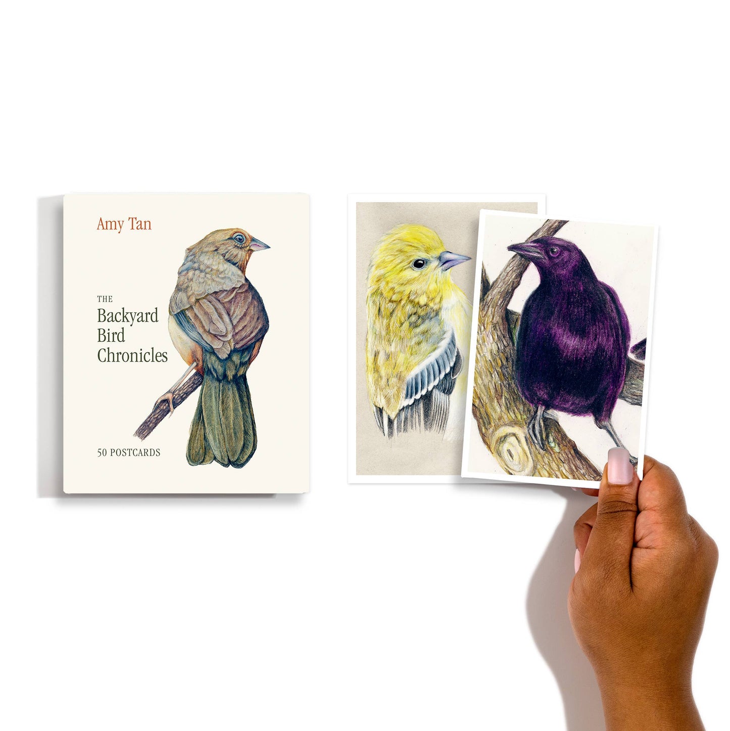 The Backyard Bird Chronicles: 50 Postcards by Amy Tan
