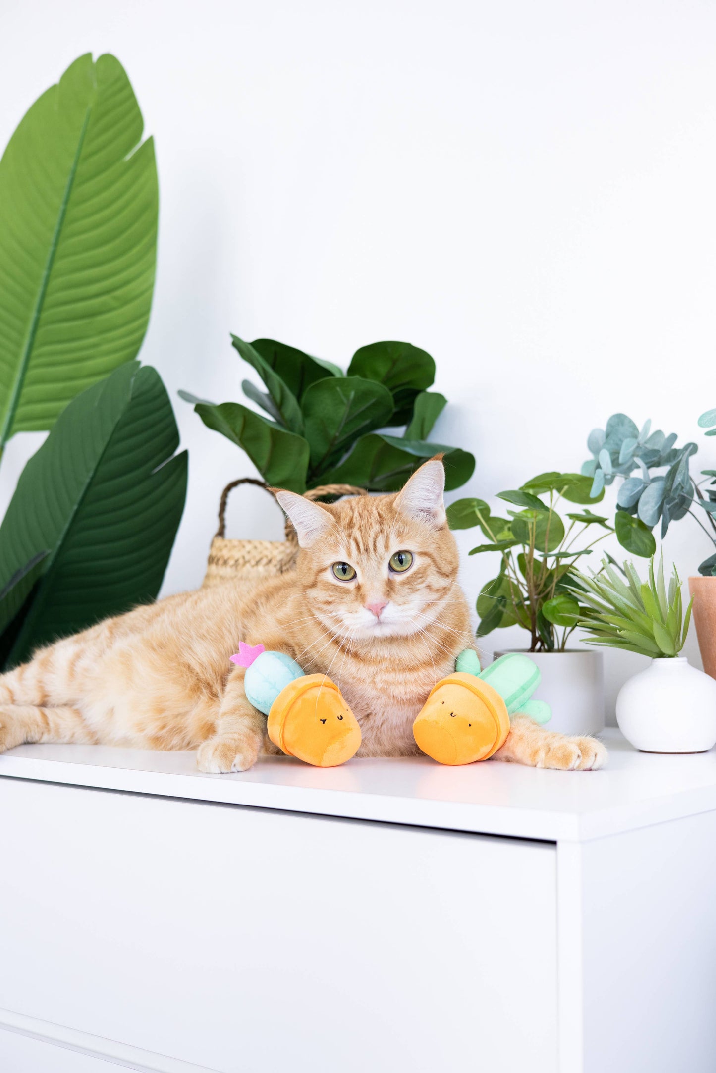 Prickly Plants Cat Toy Set